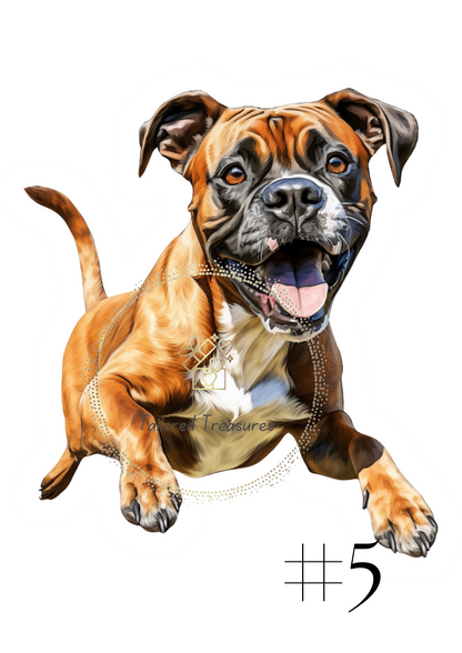 Boxer Dog ClipArt