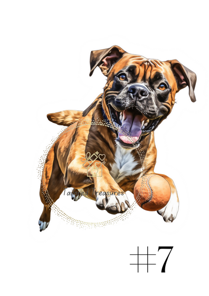 Boxer Dog ClipArt